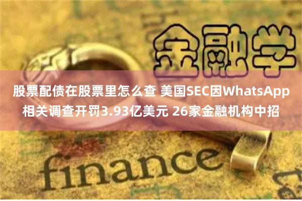 股票配债在股票里怎么查 美国SEC因WhatsApp相关调查开罚3.93亿美元 26家金融机构中招